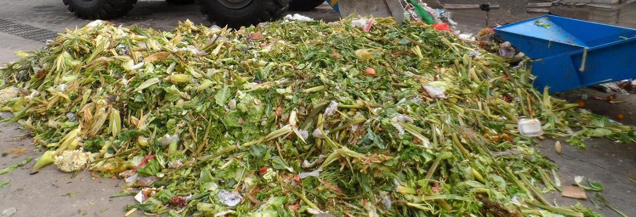 廚余垃圾處理前