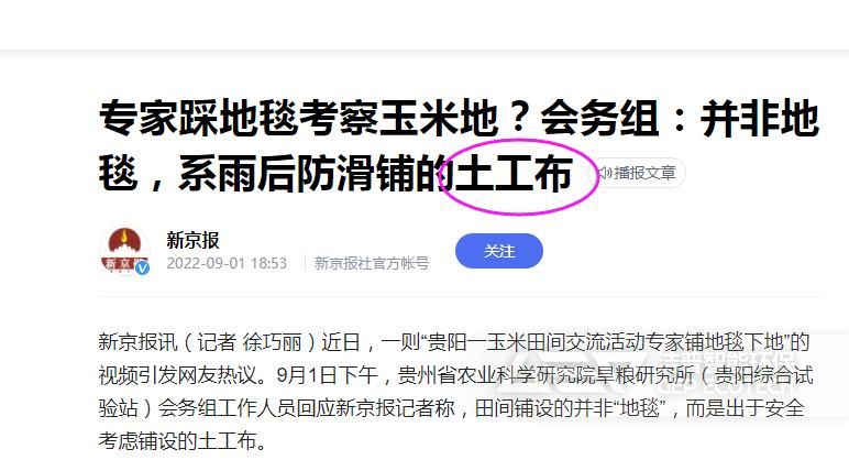 專家踩地毯觀摩玉米地