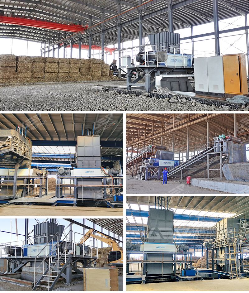 生物質(zhì)項目案例