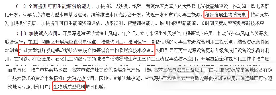 《關(guān)于大力實(shí)施可再生能源替代行動(dòng)的指導(dǎo)意見(jiàn)》