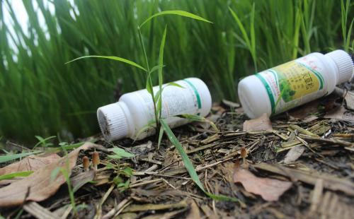 農(nóng)藥廢棄物