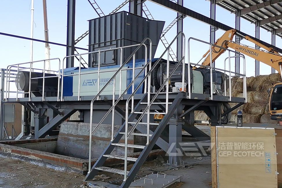 東北農(nóng)林生物質(zhì)熱電聯(lián)產(chǎn)項目