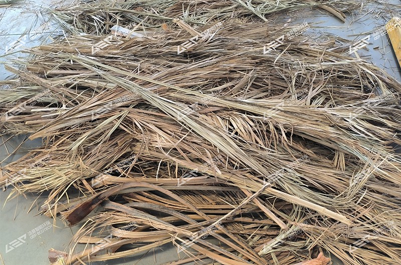 生物質(zhì)原料