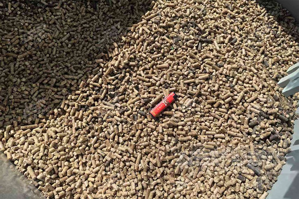 山東生物質(zhì)顆粒燃料技改項目